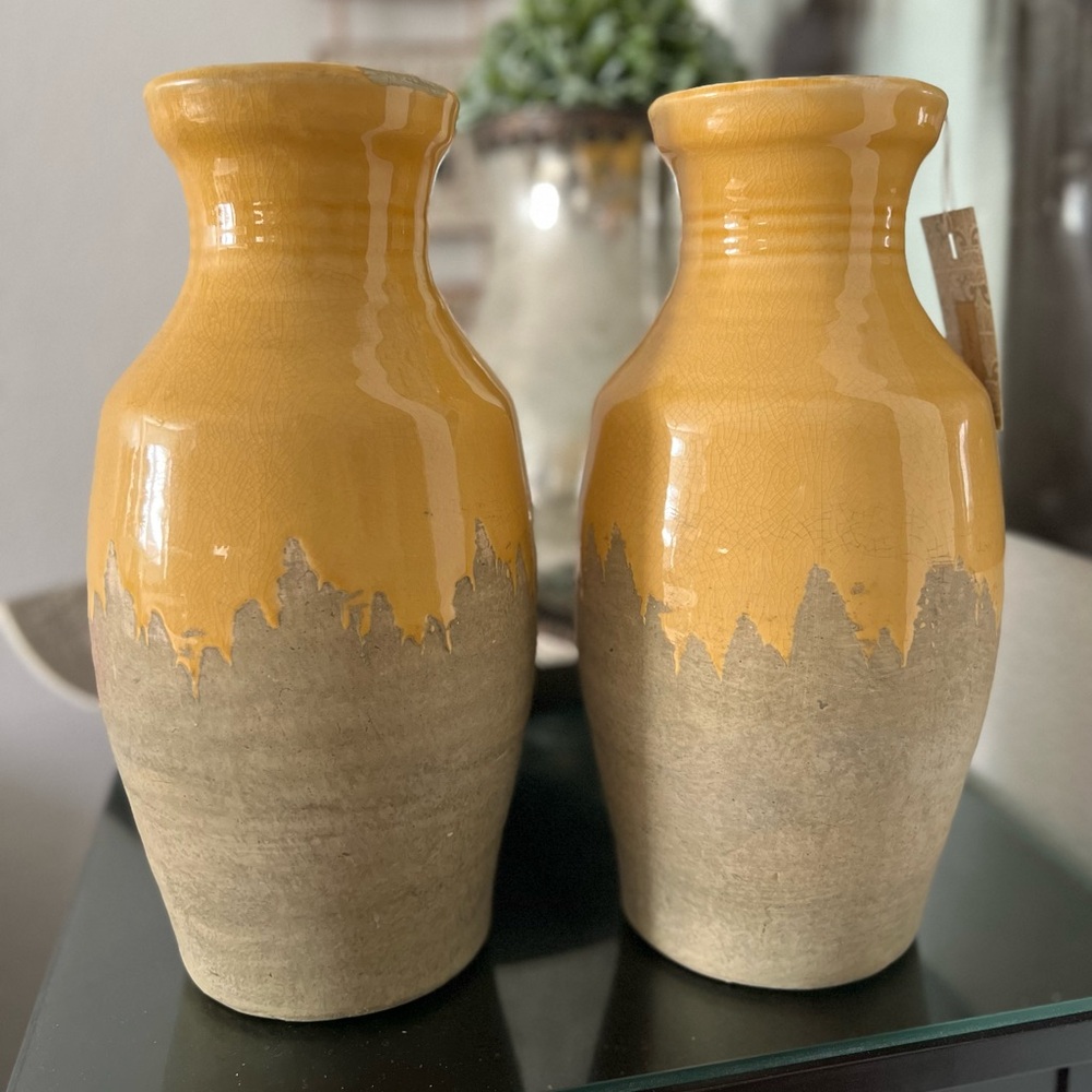 La Dolce Vita two decorative accent vases gift idea vase fall decor